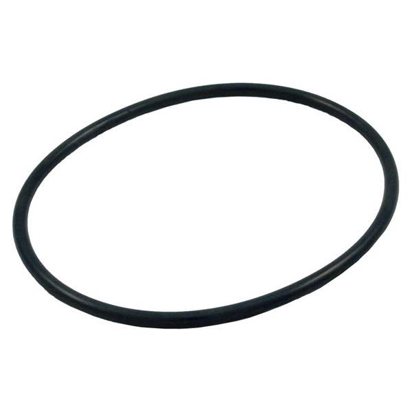 Waterway O-Ring Filter Lid